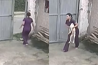Fisioterapeuta interrompe atendimento ao ouvir gritaria e encontra cãozinho precisando de socorro.