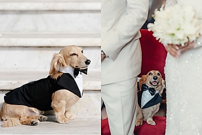 Leo Leclerc no casamento dos pais.
