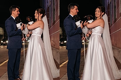 Algumas das fotos oficiais com as cadelas.