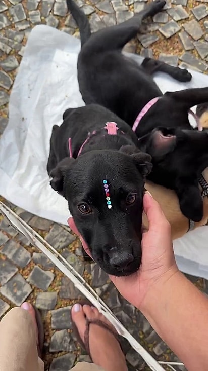 A feirinha acontecia em uma praça pública.
