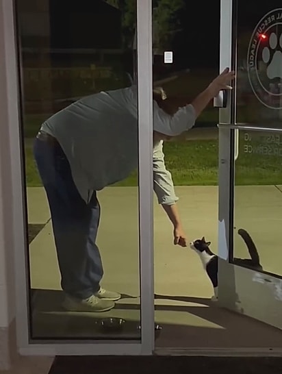 Os voluntários deixaram a gata entrar.