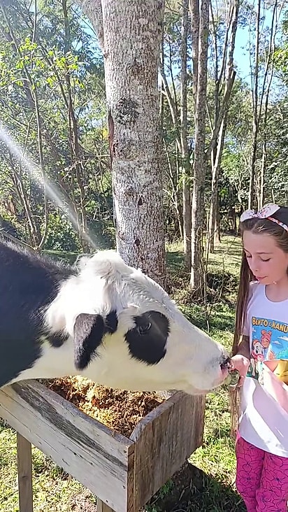 Bento já completou um ano de vida.