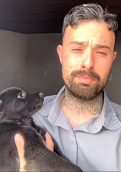 O cachorrinho com olhar de gratidão para Nicolas.
