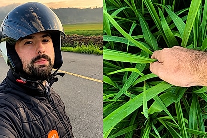“Eu tenho o coração mole”: Motociclista para em estrada deserta e muda o destino de filhote abandonado.