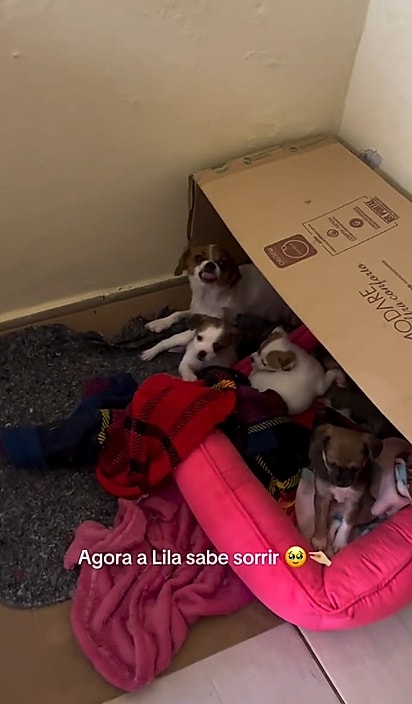 Lila foi resgatada parindo.