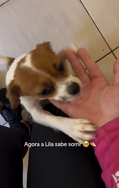 Hoje, Lila demonstra toda a sua gratidão com carinho, lambeijos e um sorriso cheio de amor.