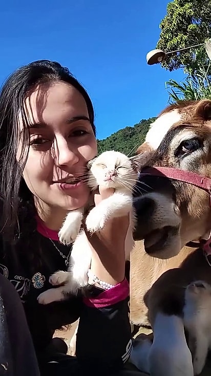 Valetina adora deitar ao sol com os gatinhos.
