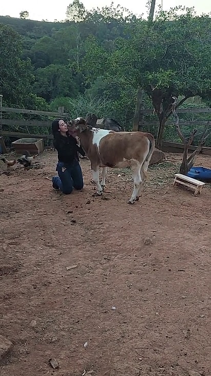 Valentina sempre corre ao encontro da tutora quando escuta seu nome.