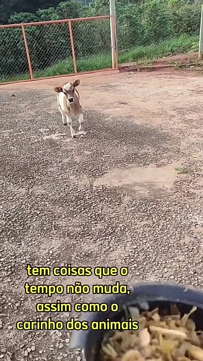 Valentina aprendeu a reconhecer Kamily pela voz.