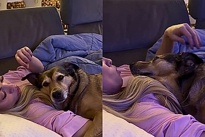 Após longos e intermináveis 9 anos, cachorrinha ganha lar para poder deitar-se no sofá, abraçadinha com a tutora