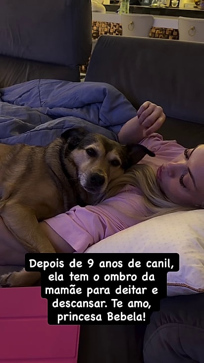A cachorrinha ganhou um lar amoroso.