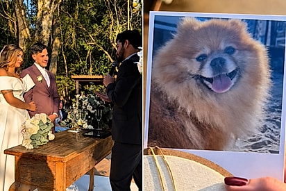 No meio do casamento dos sonhos, noivo prepara surpresa para noiva que havia perdido seu cachorro.