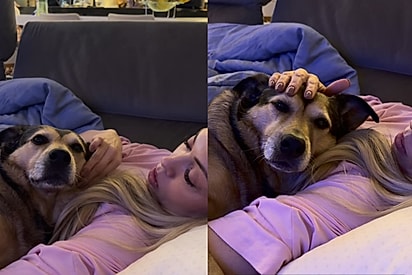 Após longos e intermináveis 9 anos, cachorrinha ganha lar para poder deitar no sofá abraçadinha com uma tutora