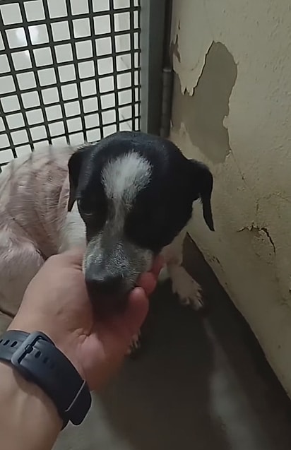 Aos poucos, ela foi aceitando aproximação. 