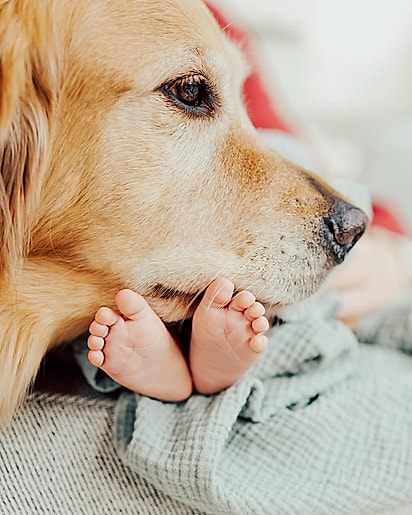 Ellie sempre está por perto de Connor.