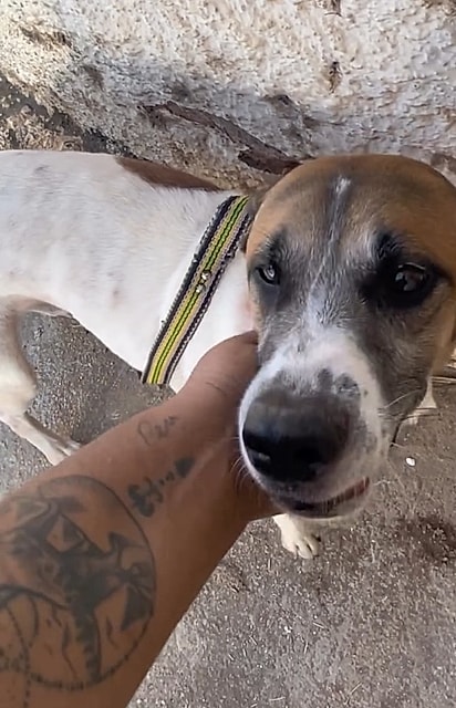 Agora, Rambo finalmente terá um lar para chamar de seu.