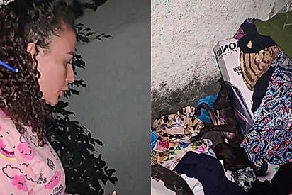 Ao ver a situação de um cão, protetora larga tudo e sai de pijamas para fazer o resgate: Pra mim, ele é um tesouro