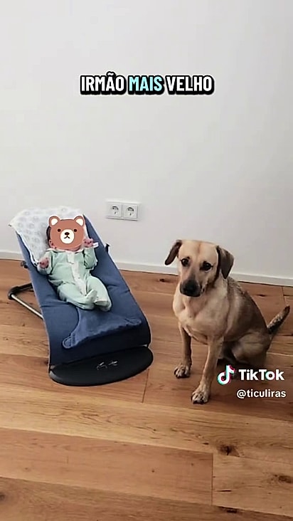 Nico foi adotado pelo casal que deu lar temporário a ele.