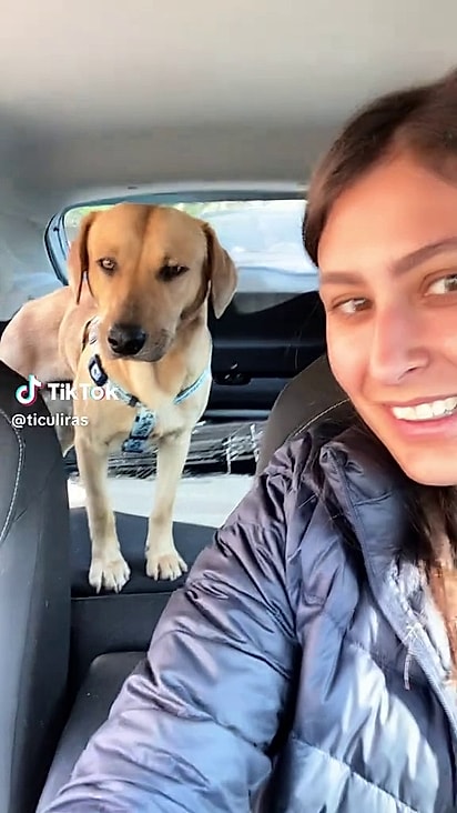 Giulia alterou o trajeto de casa para resgatar Nico.
