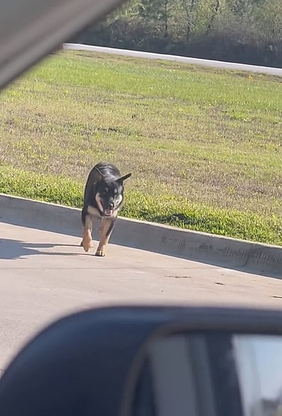 Big Mac passou dois anos morando nas ruas. 