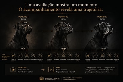 O acompanhamento revela uma trajetória.