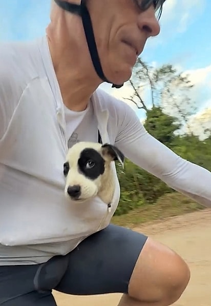 O cachorrinho ficou comportadinho durante todo o trajeto, como se soubesse que finalmente estava seguro.