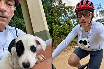 “Traz, é Deus”: Ciclista encontra filhote chorando na estrada e o leva para casa dentro da blusa.