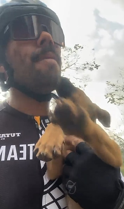 O filhote quase foi atropelado por uma carreta.