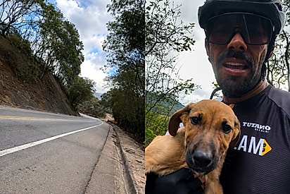 “Esse é meu agora”: Ciclista salva filhote por um triz de carreta e muda seu destino para sempre