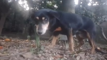 Marisa foi abandonada quando mais precisava de cuidado.