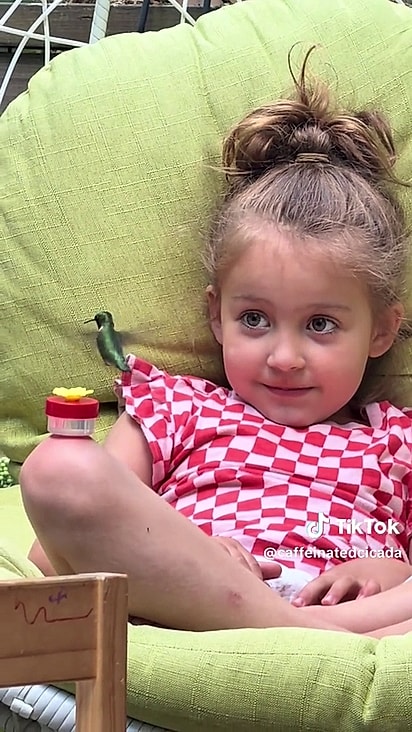 A menina observou atentamento o beija-flor.