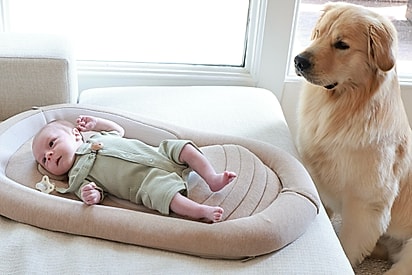 Moose se tornou irmão mais velho com a chegada do pequeno Enzo.