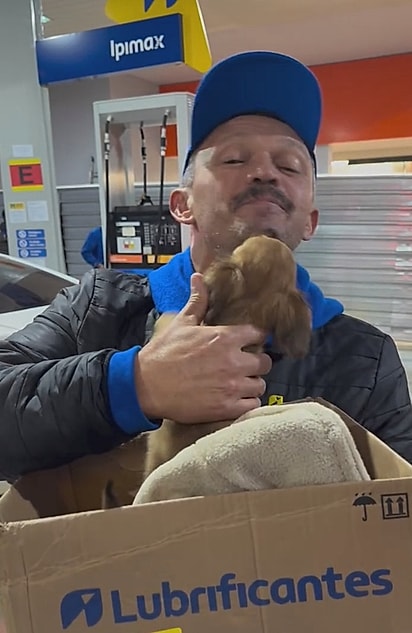 O filhote não parava de distribuir lambeijos.