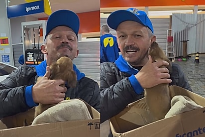 Mil lambeijos: Cachorrinho enche de carinho dono de posto que o acolheu - aqui ele não vai ficar sozinho
