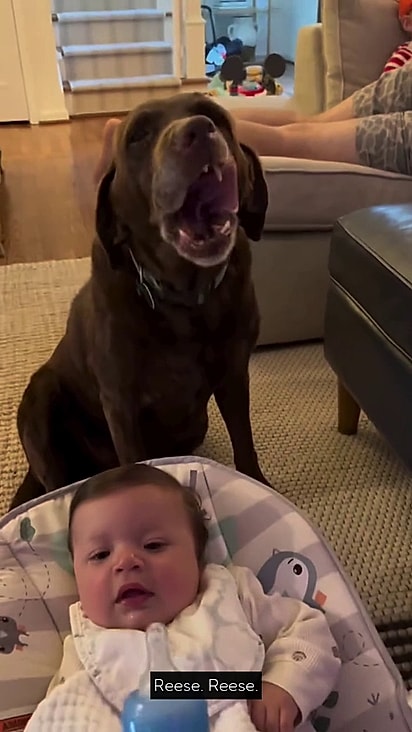 Reese ficou próxima da bebê enquanto a tutora oferecia mamadeira.