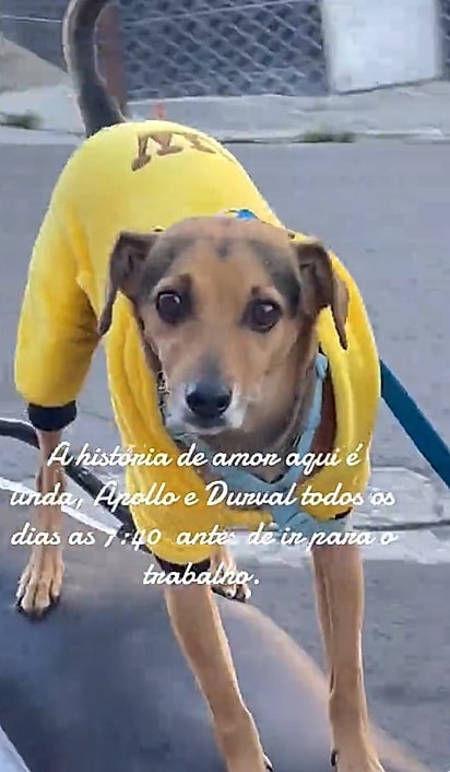 Apollo ama andar de moto.