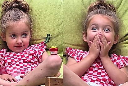 Ela recebeu um presente na natureza”: Mãe filmava menina tentando alimentar beija-flor e cena mágica acontece