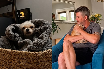Homem resolve realizar todos os desejos de cachorrinha que ninguém queria: Ela ficou tão feliz.