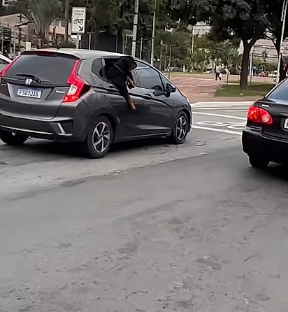 O rottweiler estava escorado na janela do carro.