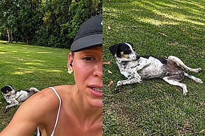  “Era vocês que eu estava procurando”: Vira-latinha segue casal durante corrida e decide quem seria sua família.
