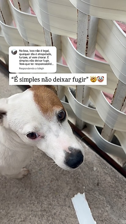 Mel ficou conhecida como “fujona” no grupo do condomínio.