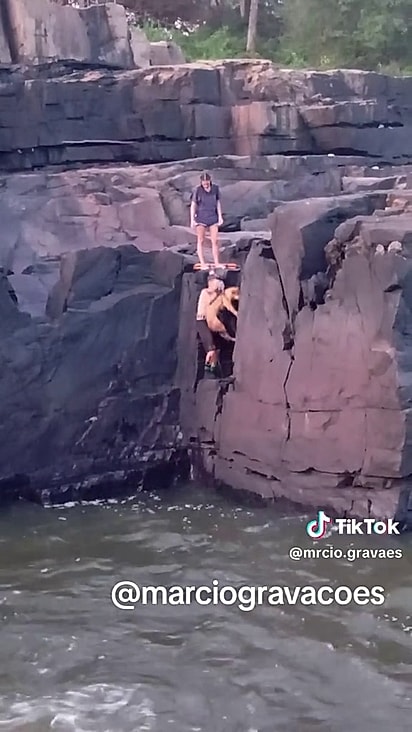 A cachorrinha foi resgatada do riacho.