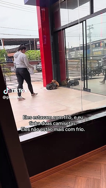 Os cães estavam encolidos com frio.