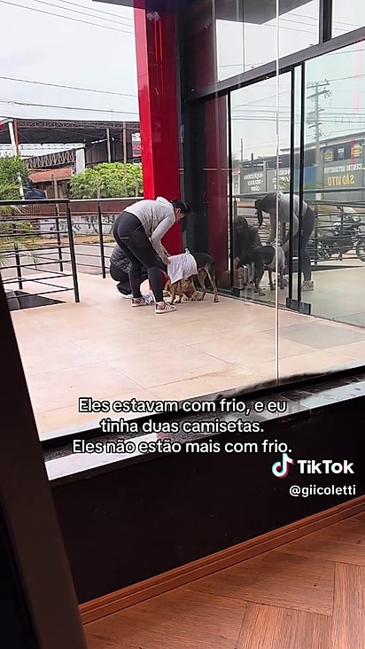 Os animais levantaram para que ela pudesse vesti-los.