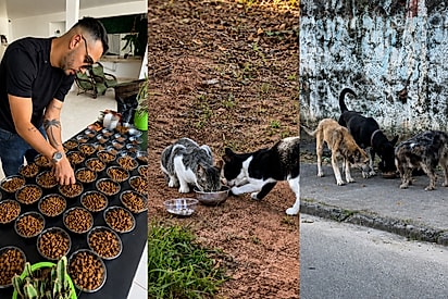 Homem decide comemorar aniversário distribuindo ração para animais de rua: Eles merecem muito