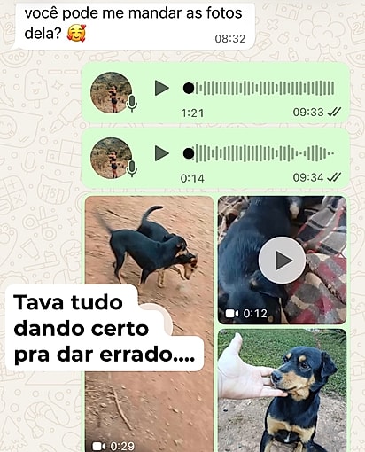 Fotos e vídeos que Kássia enviou da Dora para a adotante.