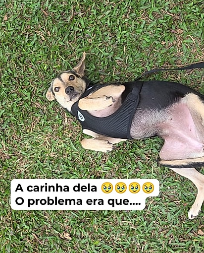 Foto da “falsa Dora” que Kássia recebeu e, então, percebeu o engano.