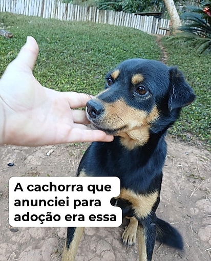 Dora ainda aguarda o encontro com sua possível nova família.