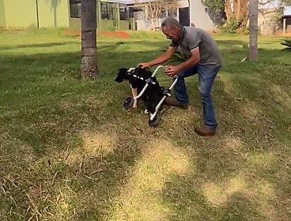 De tão feliz, Zoe até perdeu a noção da velocidade.