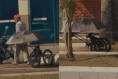 “O amor mora justamente nos detalhes”: Sr. prepara carrinho com todo o conforto para levar seu cão passear, e cena encanta